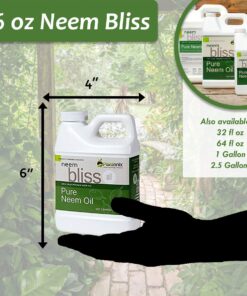 Neem Bliss - Pure Neem Oil for Plants - Organic Neem Oil Spray for Plants, 100% Cold Pressed Neem Oil - OMRI Listed Pure Neem Oil - All-Natural Neem Oil Concentrate Leaf Polish For Plants (16 Fl Oz) 16 Fl Oz 27 71B01CXJfEL