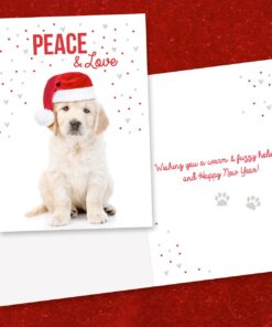 Canopy Street Labrador Love Holiday Card Pack / 25 Cards And Envelopes Pack/Festive Santa Hat Puppy Design With Greeting Inside/Dog Christmas And New Year Cards 12 71B1looLwRL