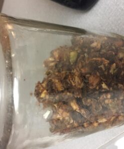 Excalibur 3900B Electric Food Dehydrator Machine with Adjustable Thermostat Accurate Temperature Control and Fast Drying, 9 tray, Black 36 71B2ZDgGLNL