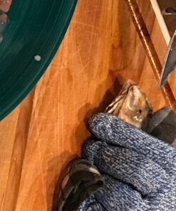 HiCoup Oyster Shucking Knife and Glove Kit - Clam and Oyster Knife Shucker Set with Stainless Steel Seafood Opener Tool, Wood Handle and Gloves 44 71B3y37Oq5L