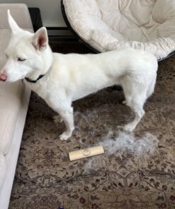 SleekEZ Original Deshedding Grooming Tool for Dogs, Cats & Horses - Undercoat Brush for Short & Long Hair - Painlessly Remove 95% of Loose Hair, Fur & Dirt - Easy to Clean - USA Made - (10 inch) 10 Inch (Pack of 1) 23 71B5uFKMFL 1
