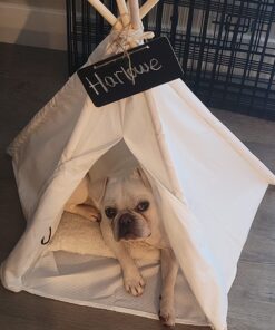 little dove Pet Teepee Dog & Puppy Cat Bed, Portable & Washable Pet Tents, House for Pets Beige Color 24 Inch no Cushion 32 71B7bD7dXwL