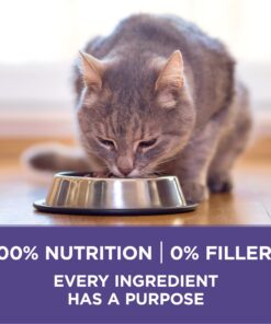 Purina ONE Natural Cat Food for Hairball Control, +PLUS Hairball Formula - 16 lb. Bag Chicken 16.00 Pound (Pack of 1) 28 71B8S2e40GL