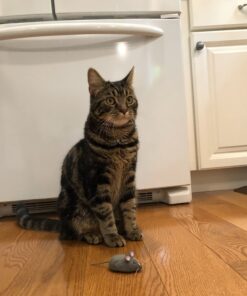 HEXBUG Mouse Robotic Cat Toy (GREY) for all breed sizes 28 71B9SWyIluL