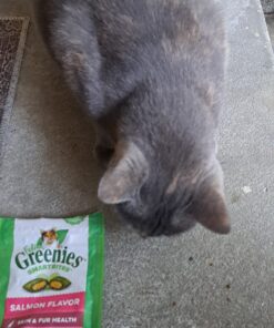 FELINE GREENIES SMARTBITES Skin & Fur Crunchy and Soft Natural Cat Treats, Salmon Flavor, 2.1 oz. Pack 2.1 Ounce (Pack of 1) 37 71BAgvLjpML