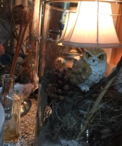 George S. Chen Imports SS-G-54281 Imports Owl Figurines (Set of 4), 2" 35 71BBXp4GF7L