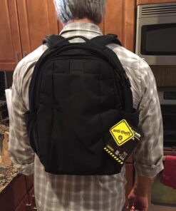 Pacsafe Metrosafe LS350 15 Liter Anti Theft Laptop Daypack/Backpack - with Padded 13" Laptop Sleeve, Adjustable Shoulder Straps, Patented Security Technology, Black Pacsafe Metrosafe Ls350 Anti-theft 15l Travel Backpack - Black 32 71BBnEy5SL