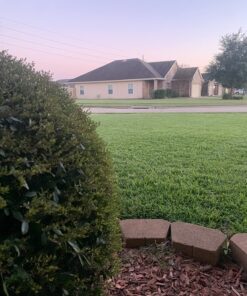 Scotts Turf Builder WinterGuard Fall Lawn Fertilizer for All Grass Types, 5,000 sq. ft., 12.5 lbs. 5,000 sq. ft. 45 71BDTdLrtPL