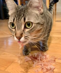 Cat-Man-Doo Extra Large Dried Bonito Flakes Treats for Dogs & Cats - All Natural High Protein Flakes - 4oz. / 112g Bag 4 Ounce (Pack of 1) 37 71BDYwDVUuL 2