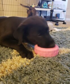 KONG Puppy Tires - Durable Puppy Chew Toy - Soft Rubber Treat Toys for Puppies & Dogs - Stuffable Dog Chew Toy - Puppy Teething Toy for Fetch & Mental Enrichment - Tire Chew Toy - Medium/Large Puppies 44 71BF05W NpL