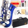 Glory Blue/Silver keys E Flat Alto Saxophone with 11reeds,8 Pads cushions,case,carekit 17 71BHC5af8UL