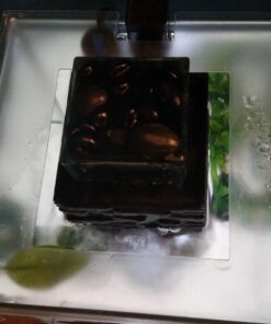 Fluval Chi II Series Aquarium Set, 5-Gallon - Aquarium Tank with Ambient LED Lighting, Flowing Water, and Elegant Design, White 5 gal 52 71BI7abNb1L