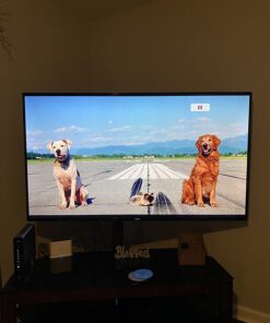 Homeward Bound - The Incredible Journey / Homeward Bound II - Lost In San Francisco DVD February 10, 2008 15 71BKlYJjSL