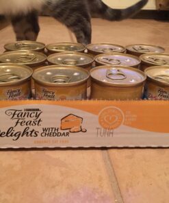 Purina Fancy Feast Grilled Gravy Wet Cat Food, Delights Grilled Tuna & Cheddar Cheese Feast - (24) 3 oz. Cans Cheddar Delights in Gravy 3.00 Ounce (Pack of 24) 39 71BLkxfo16L 1