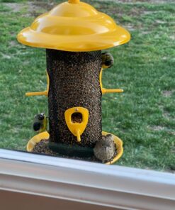 Alternative view of More Birds Sedona Screen Bird Feeder, 4 Feeding Ports, 2.8 lb Bird Seed Capacity