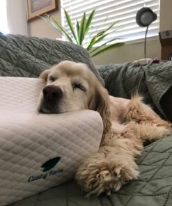 Cushy Form Knee Pillow for Side Sleepers - Standard Orthopedic Wedge Leg Pillow for Sleeping and Hip & Lower Back Pain - Contour Memory Foam Cushion for Pregnancy, Washable Cover & Travel Bag, White 53 71BPgBRJDeL