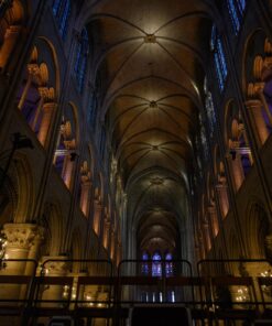 Nikon Z7 FX-Format Mirrorless Camera Body w/ NIKKOR Z 24-70mm f/4 S w/ 24-70mm Base 39 71BPwVkBEbL