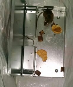 Victor M310S Tin Cat Multi-Catch Live Mouse Trap - Indoor and Outdoor Humane Catch and Release 1 Trap 37 71BS1ivhvdL