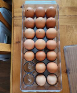iDesign Plastic Egg Holder for Refrigerator with Handle and Lid, Fridge Storage Organizer for Kitchen, Set of 1, Clear 45 71BSans2U3L
