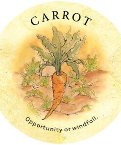 Tea Leaf Fortune Cards 47 71BY RzojZL