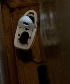 Tomcat Press 'N Set Mouse Trap, Plastic, Spring-Loaded Mouse Killer with Grab-Tab, 2 Traps Mouse Traps (2 Traps) 52 71BYCImgziL