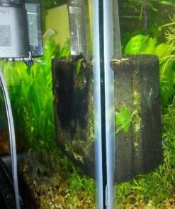 uxcell XINYOU XY-380 Aquarium Fish Tank Biochemical Sponge Filter, 4-1/2-Inch (1-Pack) 1-pack 24 71BanoqQxL