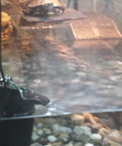 OASIS #64226 Turtle Ramp - Large 16-Inch by 11-Inch by 4-1/2-Inch, Black 38 71BaonmoHeL