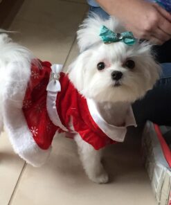 EBPP Advanced Pet Dental Care Water Additive - Premium Cat & Dog Dental Care and Dog Breath Freshener - No Brush Formula Tartar & Plaque Remover for Dogs Teeth 35 71BbYxcVwsL