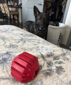 KONG Stuff-A-Ball Treats Dispense Dog Toy - Stuffable Dog Toy - Stuff Treats for Mental Enrichment - Dental Dog Toy for Healthy Teeth & Gums - Large Dogs Standard Packaging 28 71Bds3zGw0L