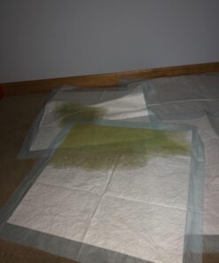 Amazon Basics Dog and Puppy Pee Pads with Leak-Proof Quick-Dry Design for Potty Training, Standard Absorbency, Regular Size, 22 x 22 Inches, Pack of 100, Blue & White Unscented Regular (100 Count) 36 71Bjf1t82JL 2