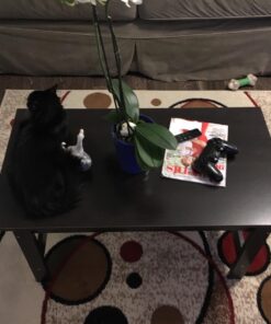 Sauder Beginnings Table Set, L: 35.32" x W: 19.45" x H: 17.17", Cinnamon Cherry 41 71BoNPs6AL