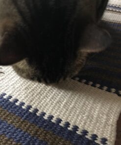 FELINE GREENIES SMARTBITES Skin & Fur Crunchy and Soft Natural Cat Treats, Salmon Flavor, 2.1 oz. Pack 2.1 Ounce (Pack of 1) 41 71Bp9V7mYqL