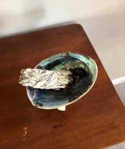 Smudge Kit - White Sage, Palo Santo, Abalone Shell, Smudging Feather for Healing, Purifying, Meditating & Incense (Essentials Plus) 42 71Br8VycM1L