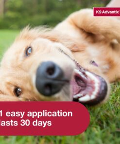 K9 Advantix II Large Dog Vet-Recommended Flea, Tick & Mosquito Treatment & Prevention | Dogs 21-55 lbs. | 2-Mo Supply 2 Pack Large Dog only 27 71Bs7yQ8ocL