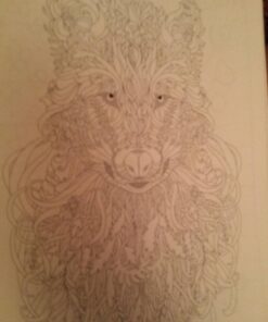 Adult Coloring Book Treasury: 110 illustrations from 55 artists 54 71BwTNCWq6L