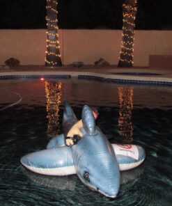 Intex Great White Shark Ride-On, 68" X 42", for Ages 3+ 29 71ByoKpaGL