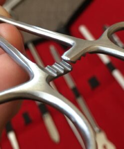 Advanced Dissection Kit Biology Lab Anatomy Dissecting Set with Stainless Steel Scalpel Knife Handle Blades for Medical Students and Veterinary by InstaSkincare 63 71BzGREF1L