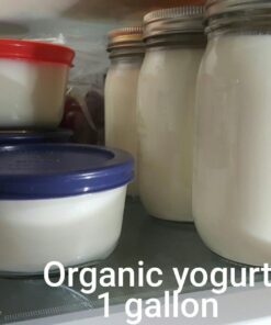 Instant Pot Duo 7-in-1 Electric Pressure Cooker, Slow Cooker, Rice Cooker, Steamer, Sauté, Yogurt Maker, Warmer & Sterilizer, Includes App With Over 800 Recipes, Stainless Steel, 6 Quart 6QT 51 71C2THWp77L