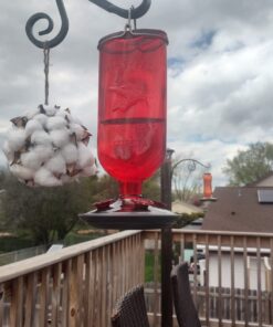 Perky-Pet 8109-2 Antique Glass Bottle Hummingbird Feeder-16-Ounce Capacity, Red beige 1 Count (Pack of 1) Elegant 31 71C3SX0y0oL