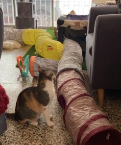 SmartyKat Crackle Chute Crinkle Activity Tunnel Cat Toy - Tan/Red, One Size Set of 1 Crackle Chute Tunnel 39 71C4KpG5UkL