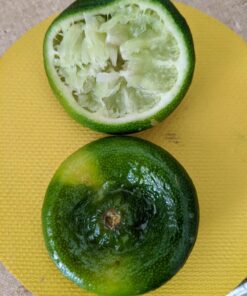 Chef'n FreshForce Citrus Juicer, 10.25 long, Yellow 55 71C4Lm9uL