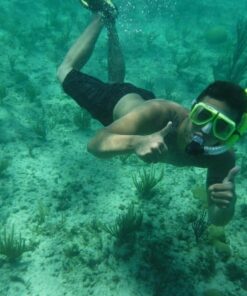 Fujifilm FinePix XP80 Waterproof Digital Camera with 2.7-Inch LCD (Yellow) Yellow 123 71C5Qh8CftL