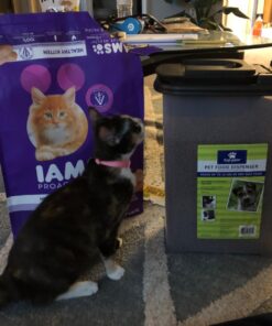 IAMS PROACTIVE HEALTH Healthy Kitten Dry Cat Food with Chicken Cat Kibble, 16 lb. Bag Dry Food 16.00 Pound (Pack of 1) 38 71C7xZeBHNL