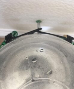 Petmate Replendish Automatic Gravity Waterer for Cats and Dogs, BPA-Free, No Batteries Required, Includes Charcoal Filter, 1 Gallon, Made in USA Silver 1 GAL 57 71CBiST1ooL