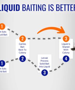 Terro T100-12 Liquid Ant Killer II, 1 oz, Pack of 1 25 71CCnLTnAhL