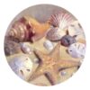 Thirstystone Stoneware Coaster Set, Sea Shells 23 71CEbFXGX L