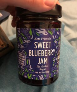 GOOD GOOD No Added Sugar Blueberry Jam - Keto Friendly Jelly - Low Carb, Low-Calorie and Vegan - Diabetic Friendly - 12oz / 330g (Pack of 1) 12 Ounce (Pack of 1) 40 71CGt1KQk6L
