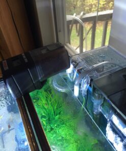 EHEIM Everyday Fish Feeder Programmable Automatic Food Dispenser 40 71CIa4RdlfL