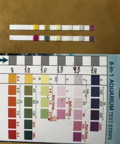 Alkazone Make Your Own Alkaline Water, Clear, 1.25 Fl Oz 1.25 Fl Oz (Pack of 1) 43 71CIlaEP6mL