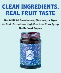 GOOD GOOD No Added Sugar Blueberry Jam - Keto Friendly Jelly - Low Carb, Low-Calorie and Vegan - Diabetic Friendly - 12oz / 330g (Pack of 1) 12 Ounce (Pack of 1) 28 71CKLfelaiL